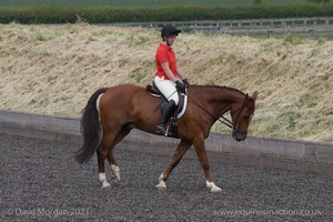 ISIS Dressage Challenge 2008